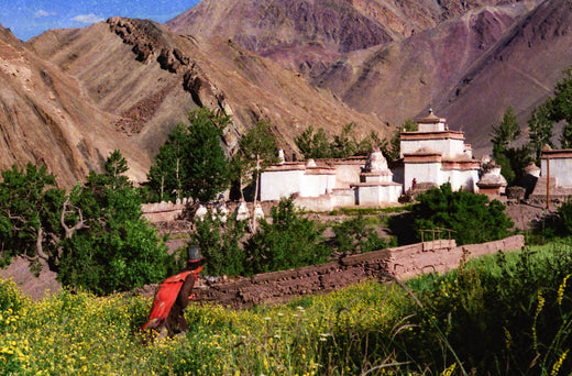 ALCHI + INDUS VALLEY, LADAKH | LETTERS & PICTURES FROM ASIA, 1988 | PART 13