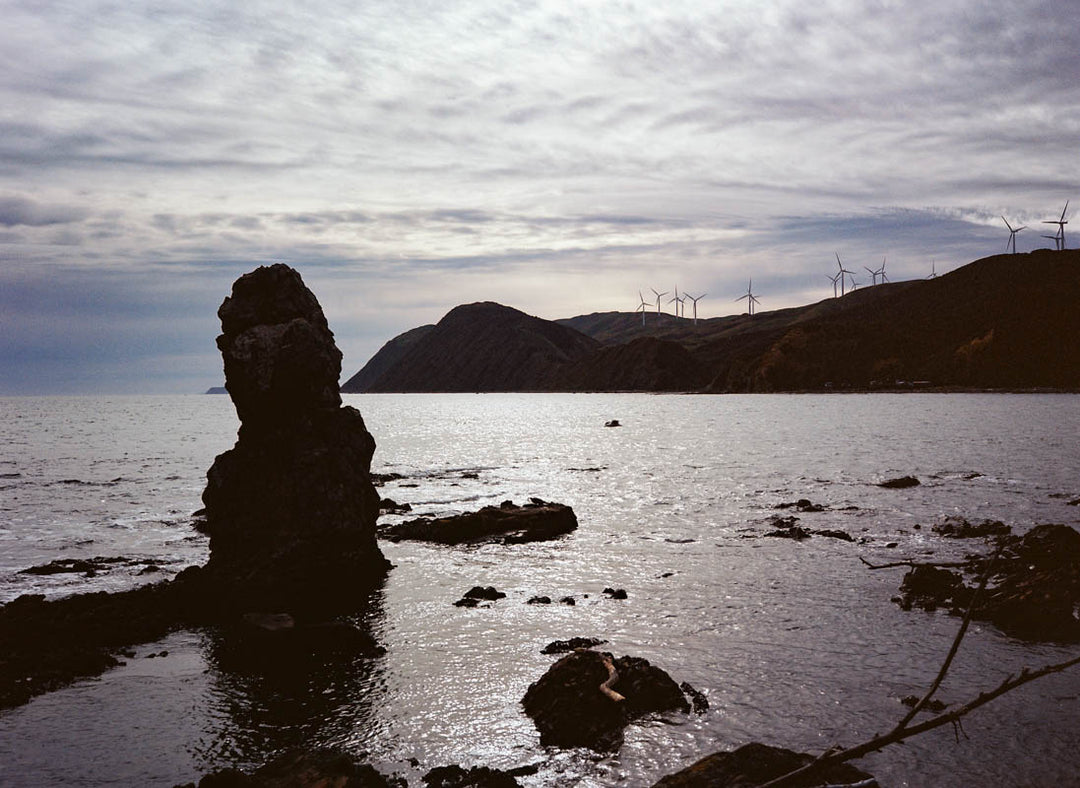 THE MAKARA BEACH WALKWAY, WELLINGTON