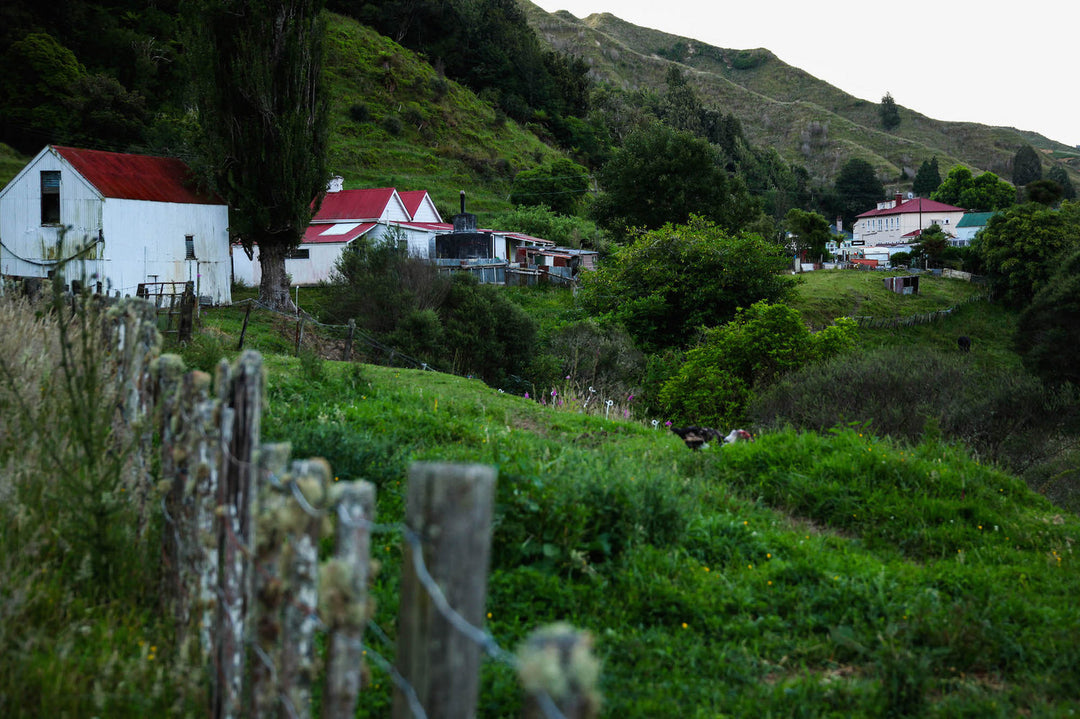 FORGOTTEN WORLD HIGHWAY | WHANGAMOMONA | NZ