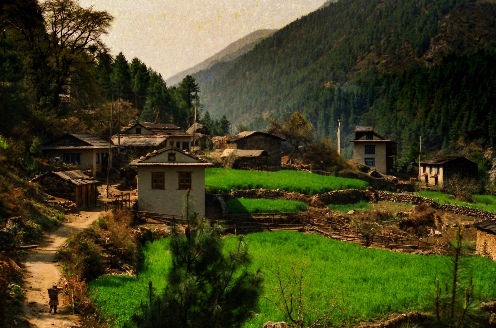 LETTERS & PICTURES FROM ASIA, 1988 | EVEREST TREK | JIRI TO NAMCHE BAZAAR | PART 3