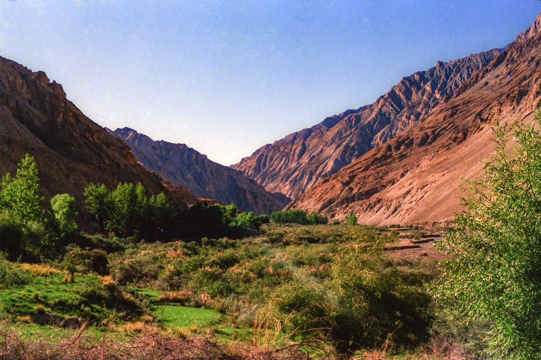 MARKHA VALLEY TREK, LADAKH | LETTERS & PICTURES FROM ASIA, 1988 | PART 11