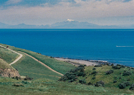 BARING HEAD LIGHTHOUSE LOOP | WAINUIOMATA | WELLINGTON